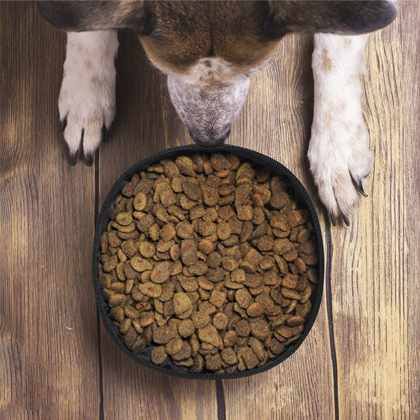 BOWL PLEGABLE PARA LA COMIDA DE TU MASCOTA (2)